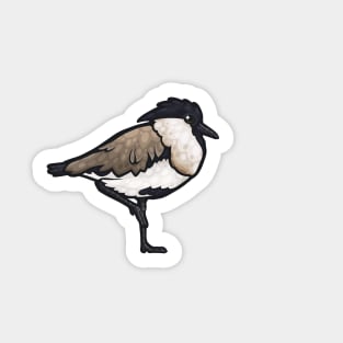 River Lapwing Sticker